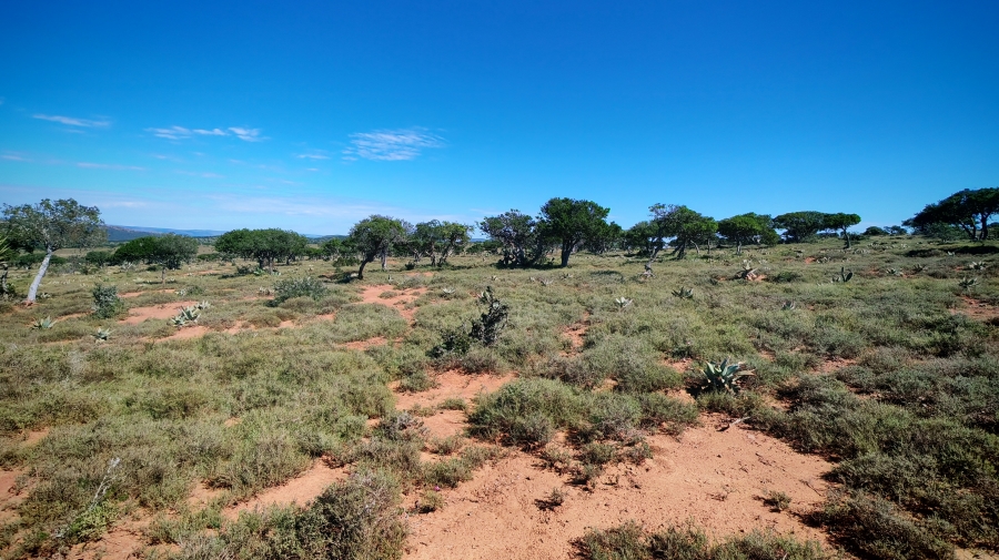 0 Bedroom Property for Sale in Somerset East Rural Eastern Cape